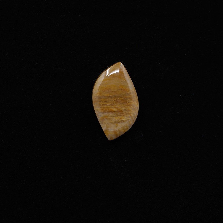 Petrified Wood Freeform Cabochon