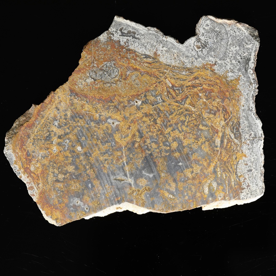 Deming Plume Agate Slab