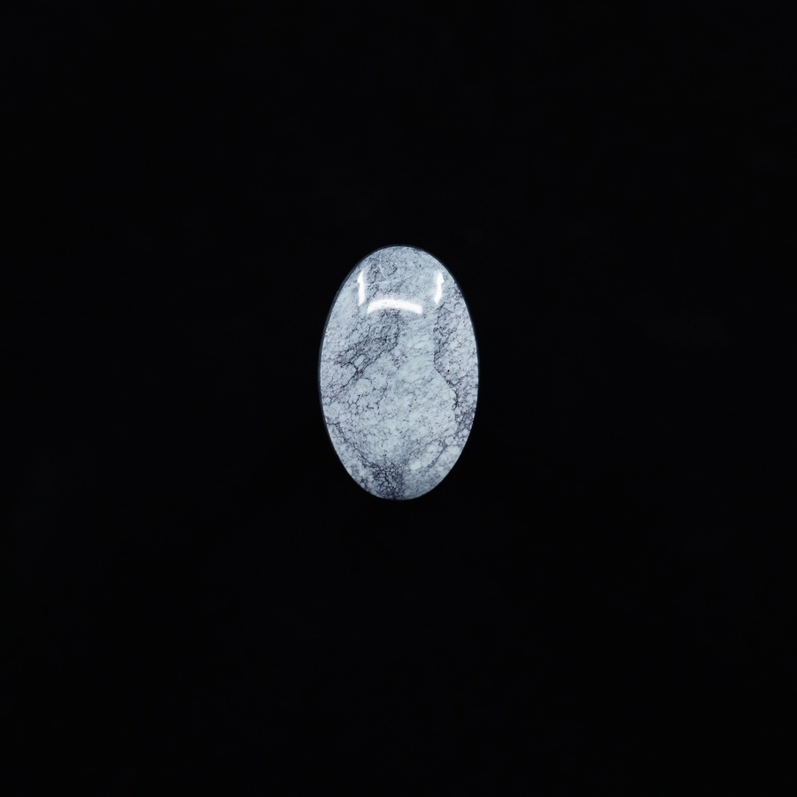 Kushk Variscite Oval Cabochon