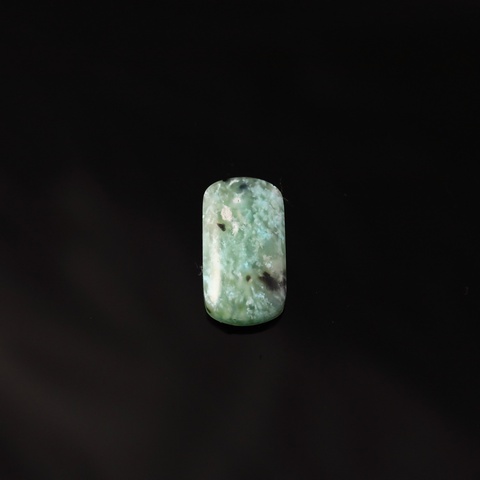 Blue Opal Wood Cabochon Rectangle