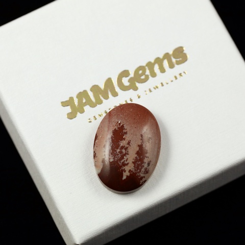 Mimbres Jasper Oval Cabochon