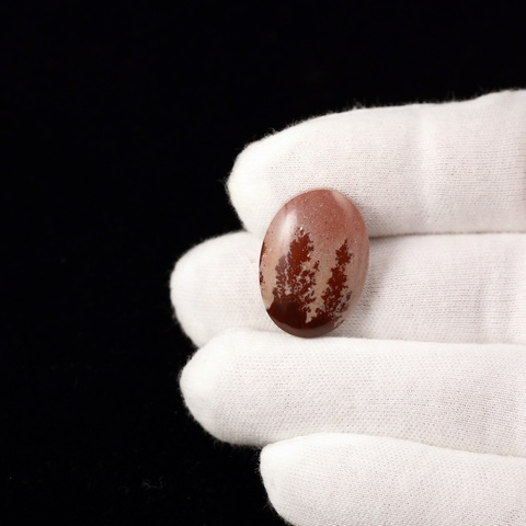 Mimbres Jasper Oval Cabochon