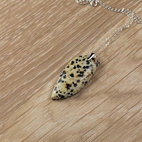 Dalmation Jasper Necklace