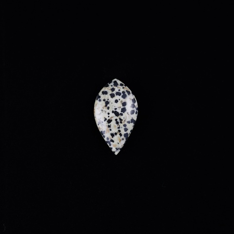 Dalmation Jasper Teardrop Cabochon