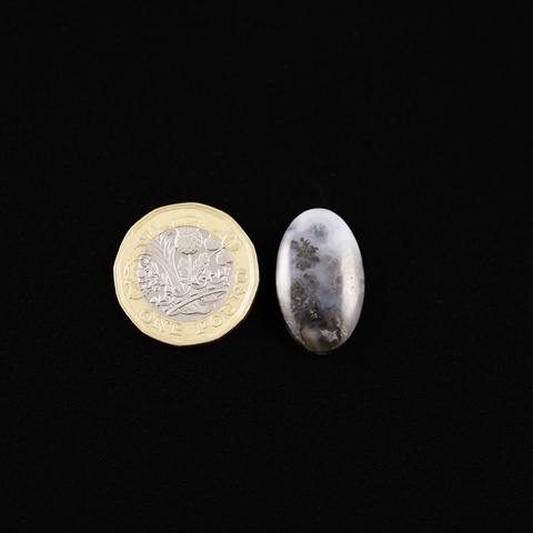 Medicine Bow Plume Agate Oval Cabochon