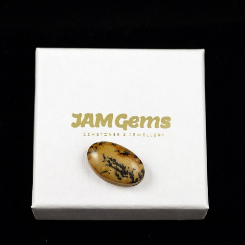 Dendritic Opal Oval Cabochon