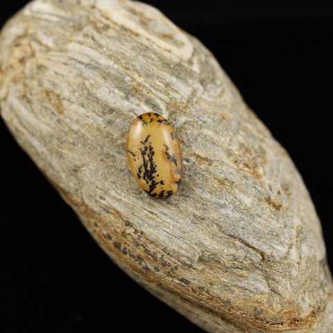 Dendritic Opal Oval Cabochon