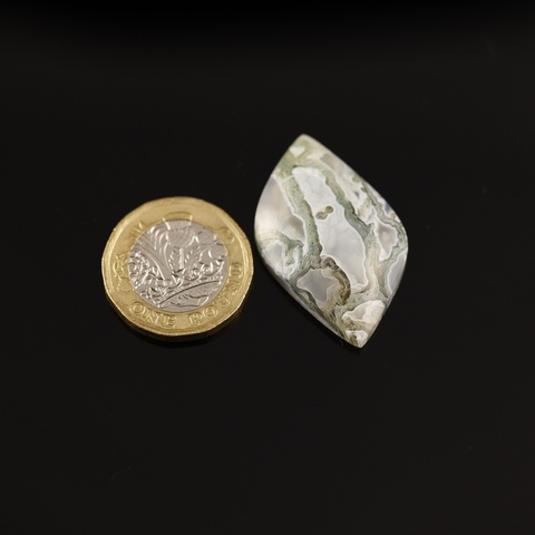 Oregon Green Moss Agate Cabochon