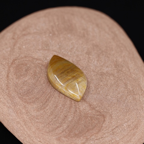Petrified Wood Freeform Cabochon