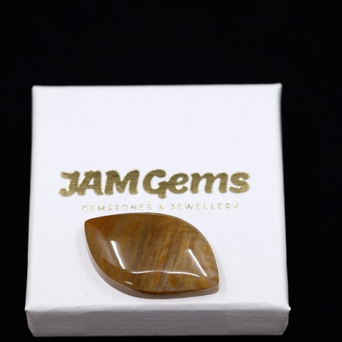 Petrified Wood Freeform Cabochon