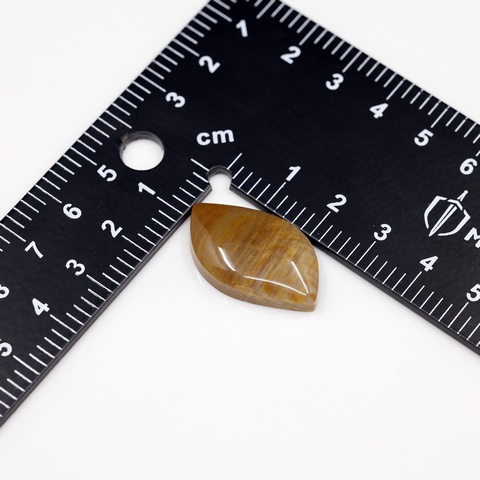 Petrified Wood Freeform Cabochon
