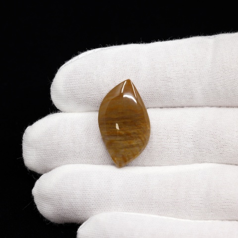 Petrified Wood Freeform Cabochon