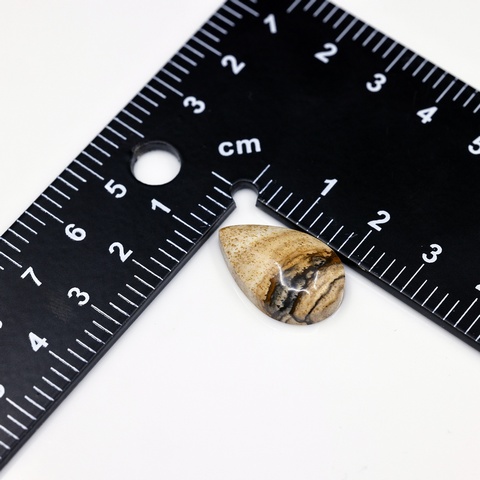 African Queen Teardrop Cabochon