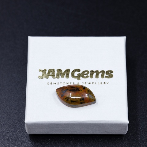 Freeform Tiger Tail Cabochon