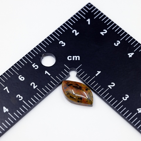 Freeform Tiger Tail Cabochon