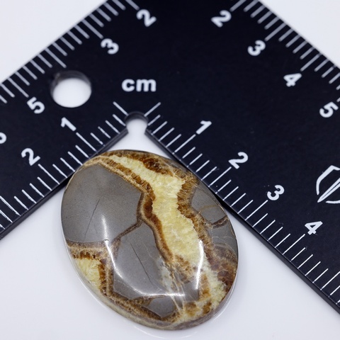 Large Septarian Nodule Oval Cabochon