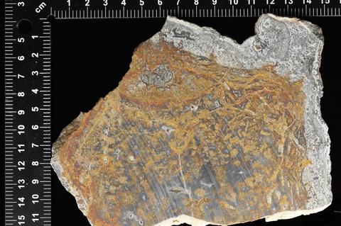 Deming Plume Agate