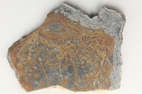 Deming Plume Agate