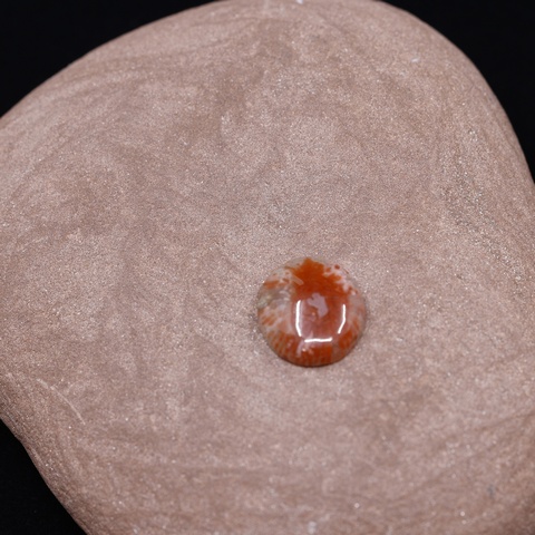 Horn Coral Oval Cabochon