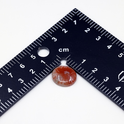 Horn Coral Oval Cabochon