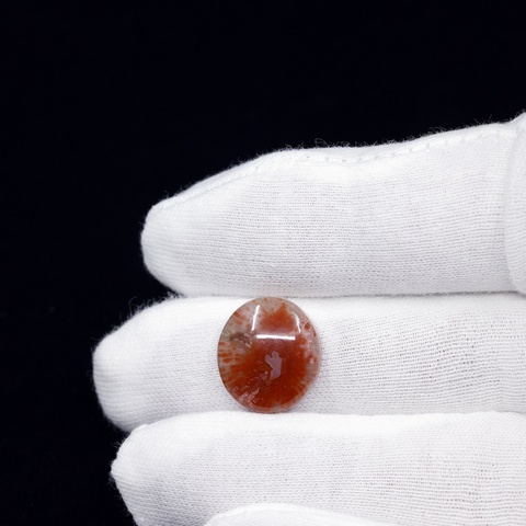 Horn Coral Oval Cabochon
